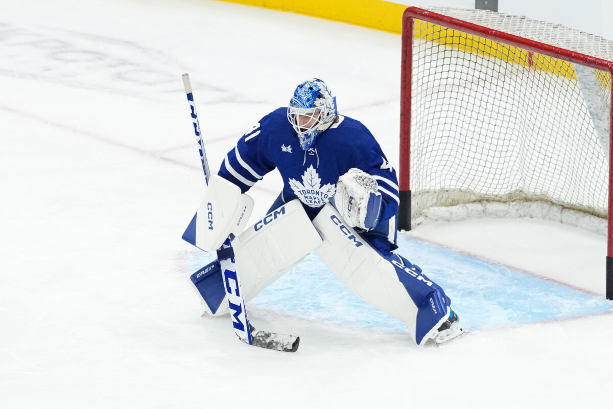 Dennis Hildeby Toronto Maple Leafs