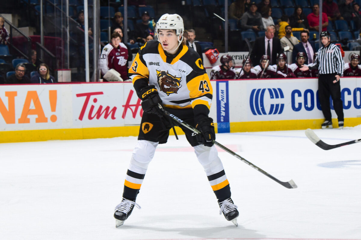 Florian Xhekaj Brantford Bulldogs