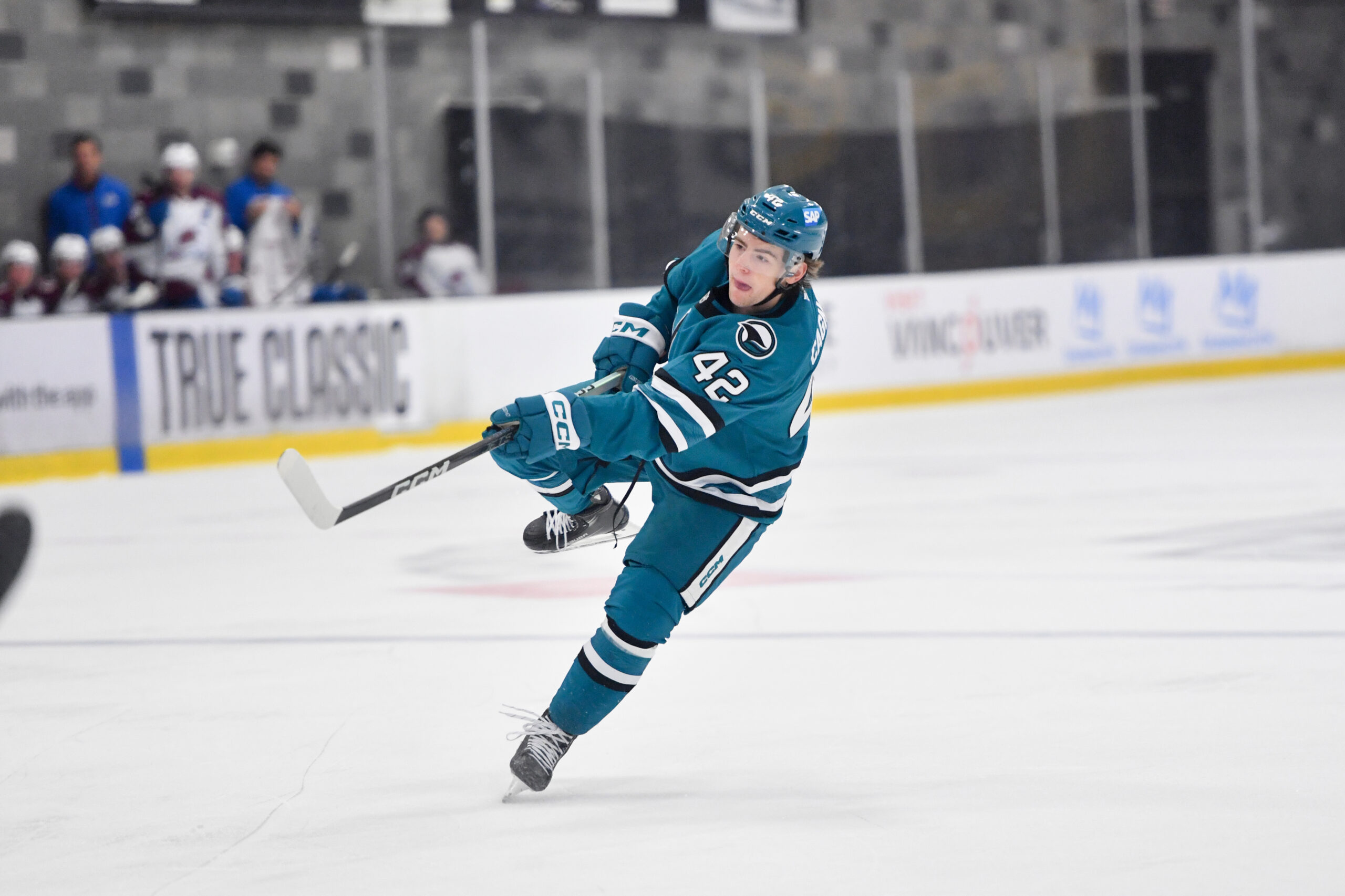 San Jose Barracuda Players to Watch
