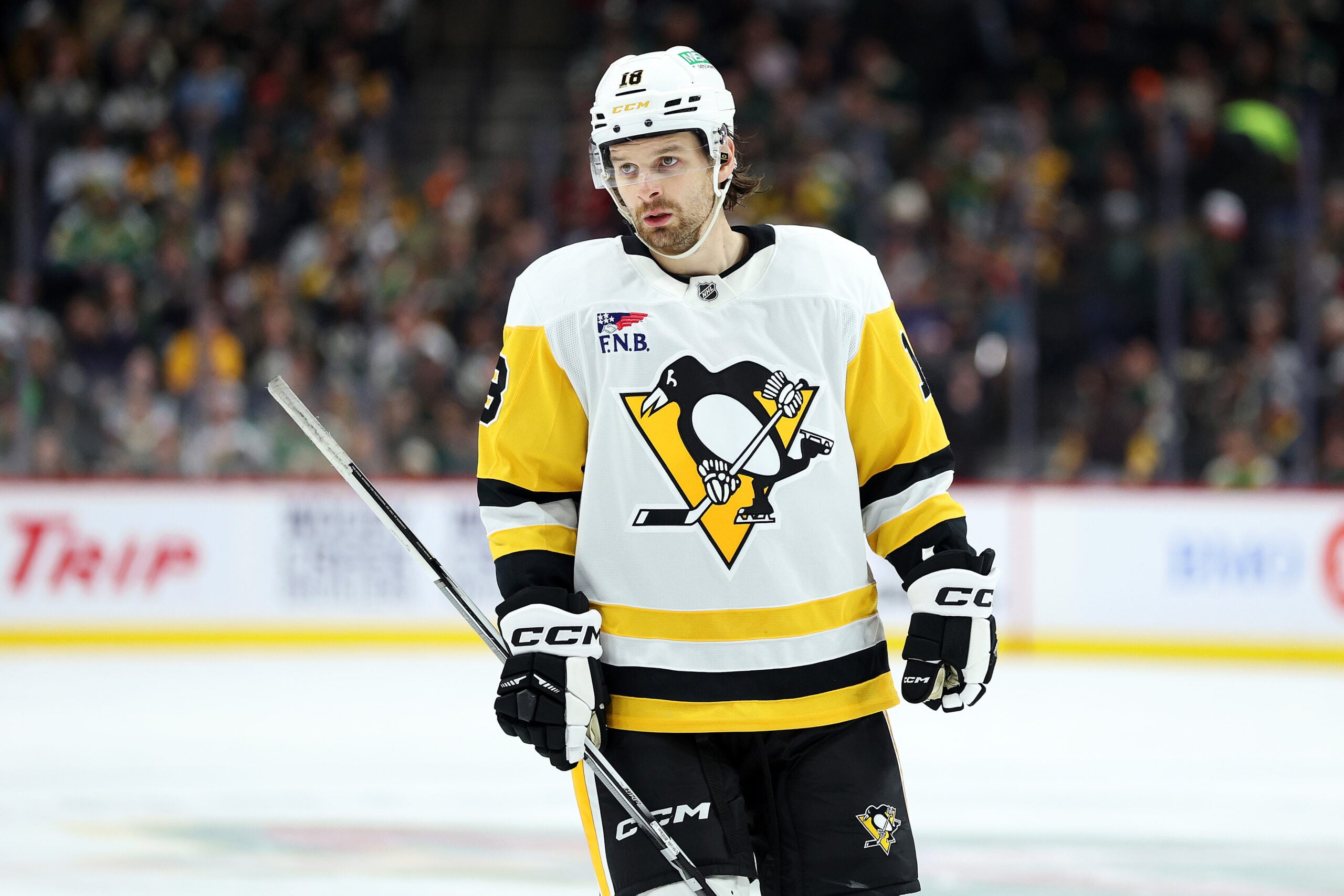 Penguins’ Tommy Novak Extension Carries Real Risk