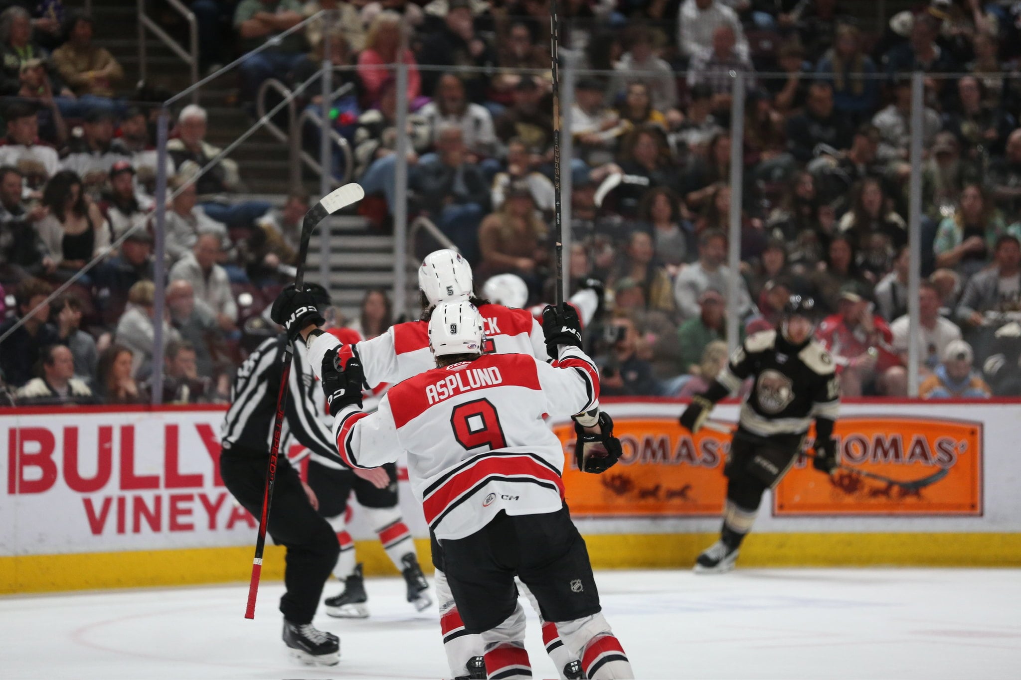 Charlotte Checkers Took Care of the Minor Details to Defeat Hershey Bears