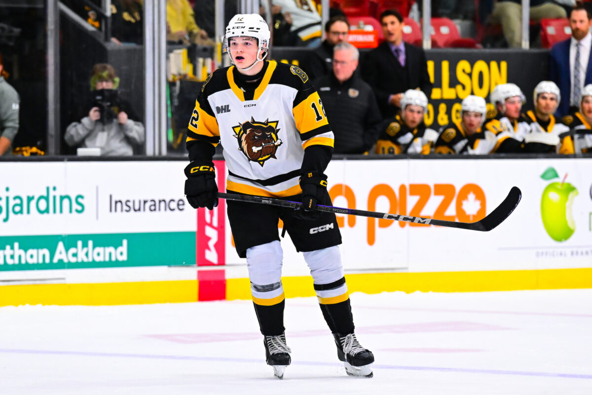 Owen Protz Brantford Bulldogs