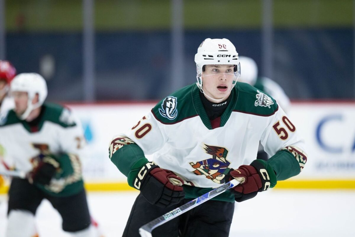 Daniil But Tucson Roadrunners