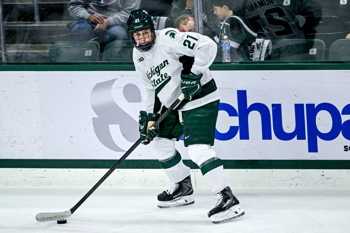 Anthony Romani Michigan State University
