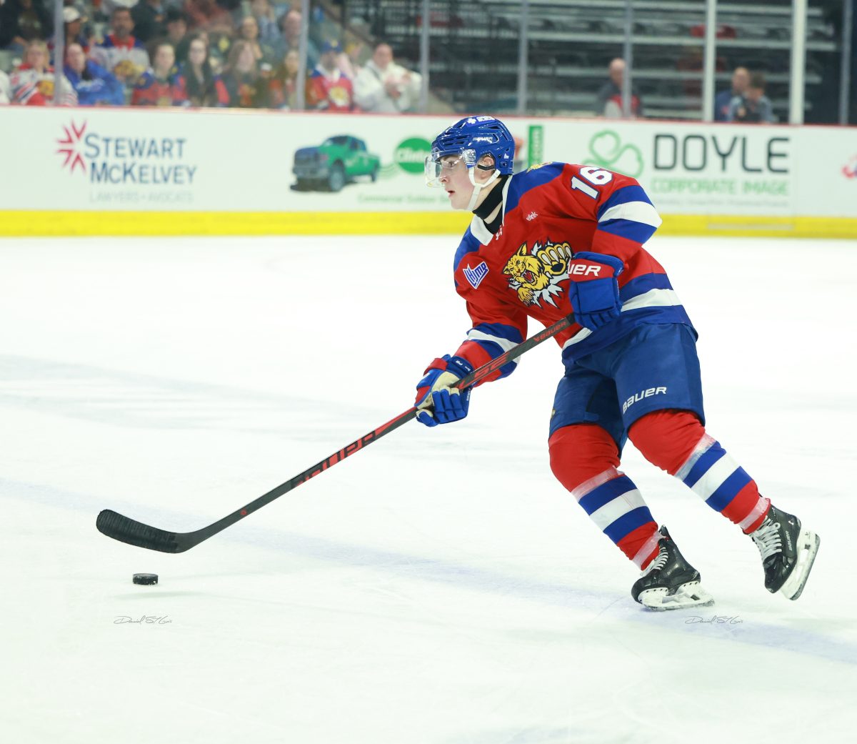 Tommy Bleyl Moncton Wildcats