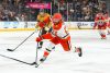 Jeffrey Viel Anaheim Ducks