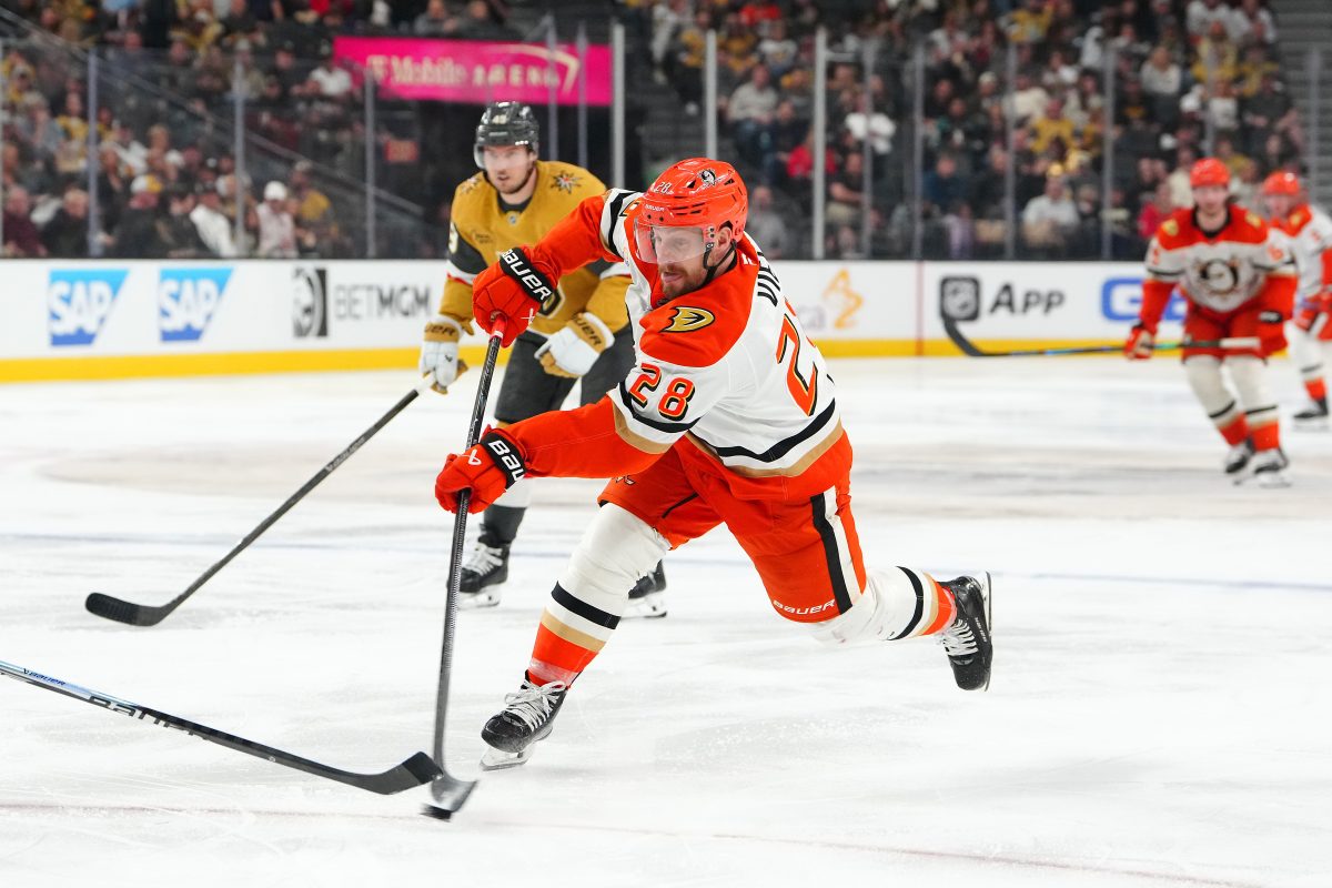 Jeffrey Viel Anaheim Ducks