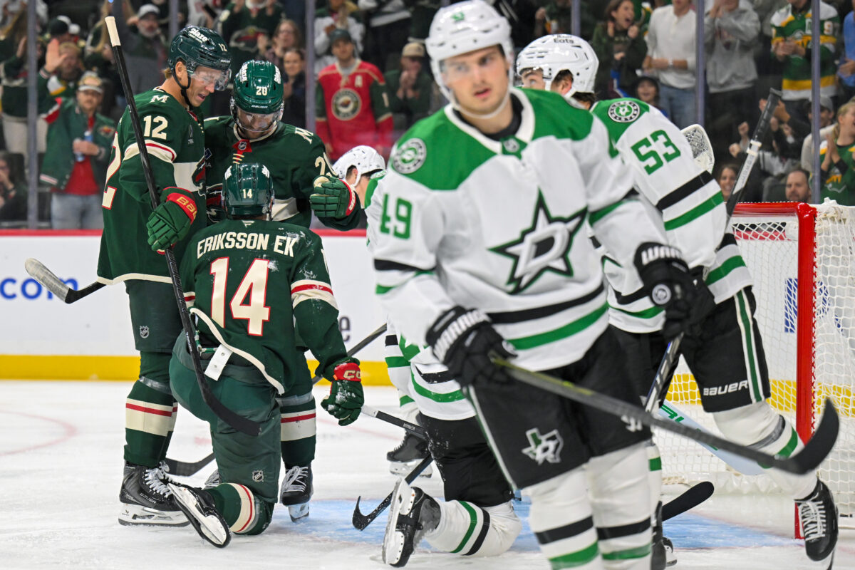 Minnesota Wild Celebrate