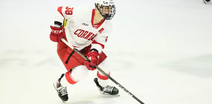 Flames Look to Boost Stale Offence by Calling Up Castagna & Suniev